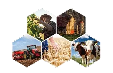 Safety Asigurare Agricole